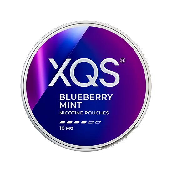 XQS Blueberry Mint - 10mg product tin
