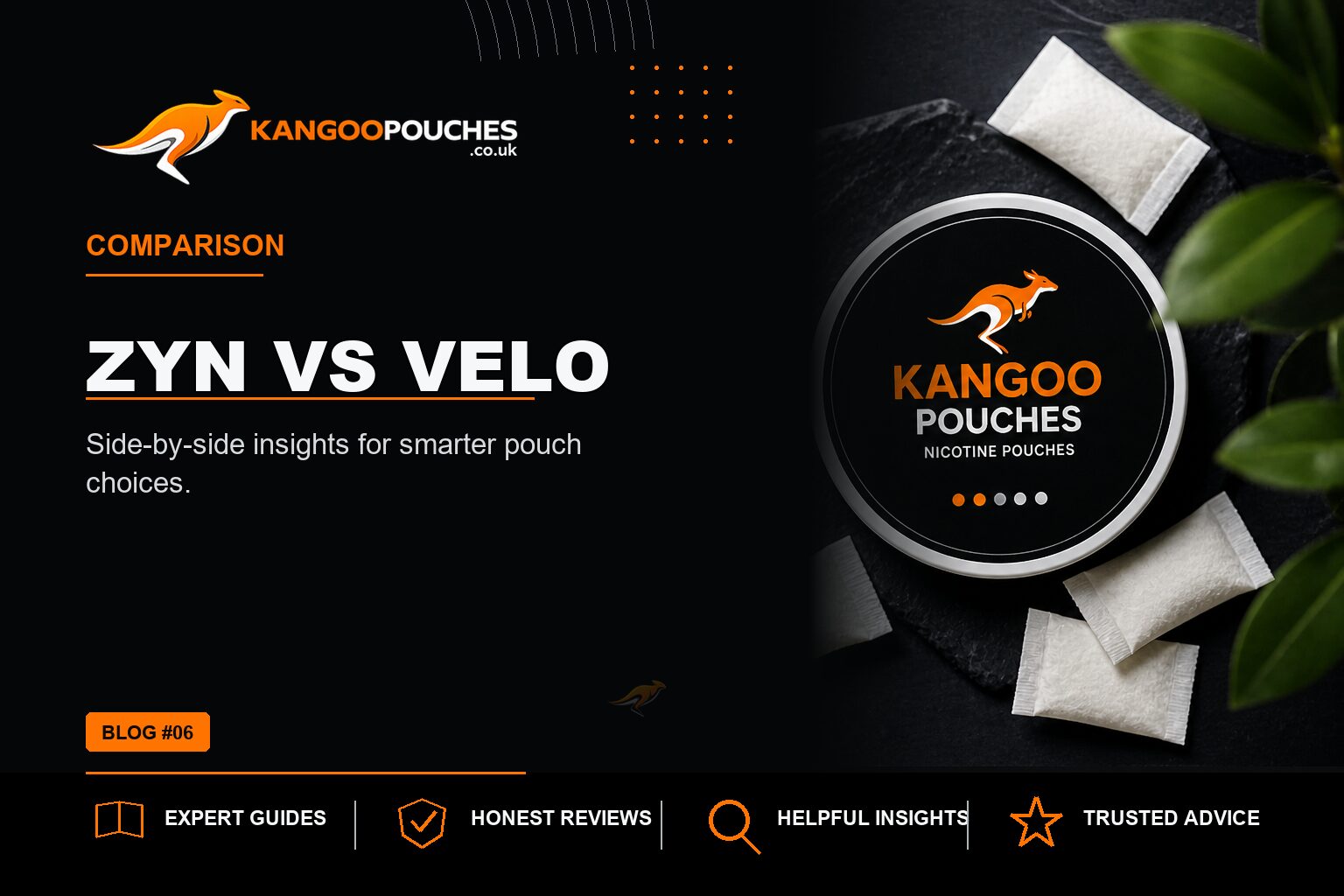 Kangoo Pouches blog banner for Zyn vs Velo