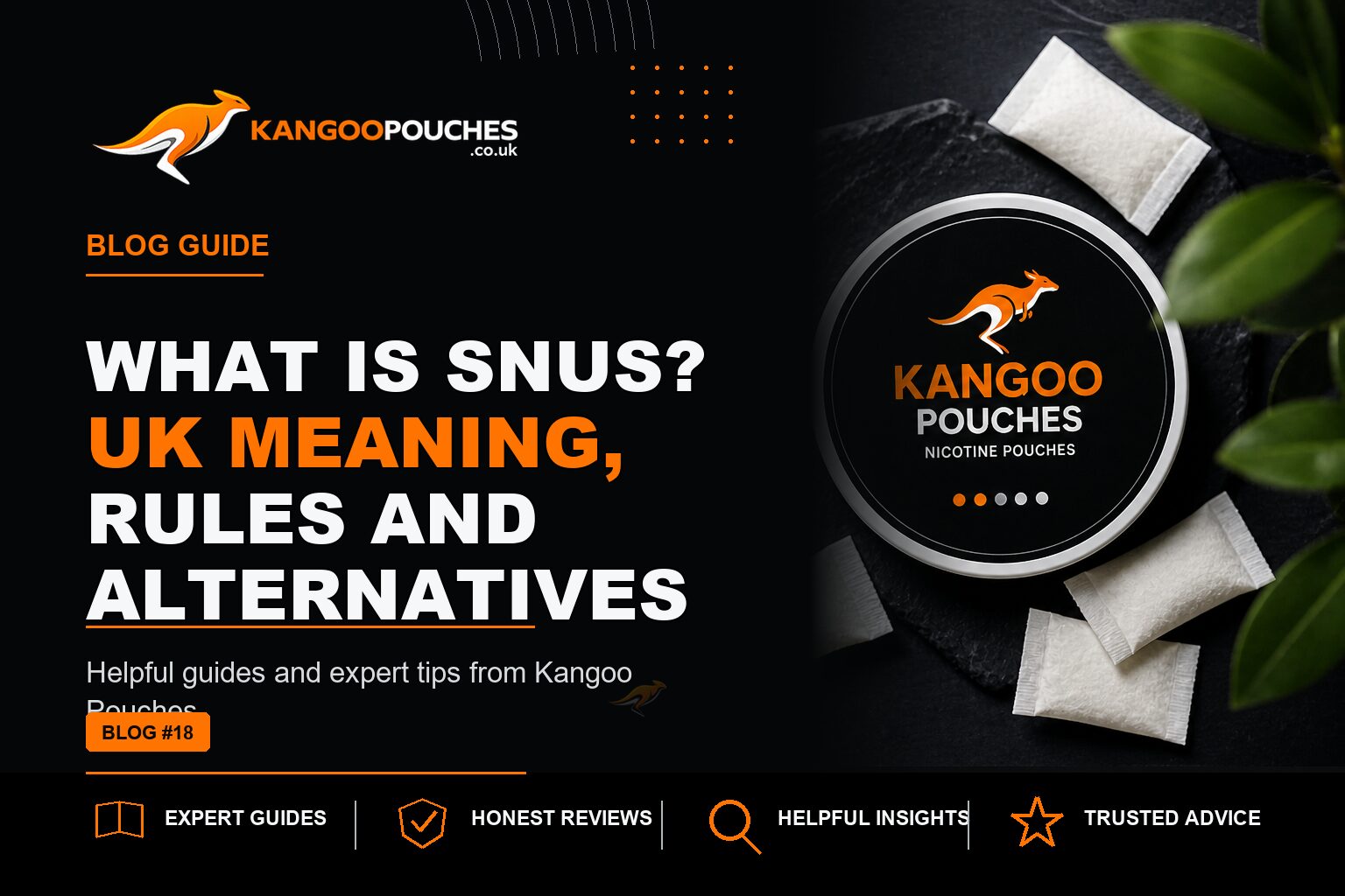 Kangoo Pouches blog banner for What Is Snus? UK Meaning, Rules and Alternatives