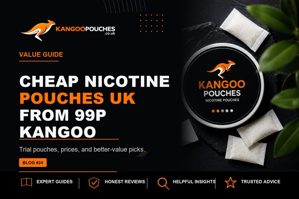 Kangoo Pouches blog banner for Cheap Nicotine Pouches UK From 99p