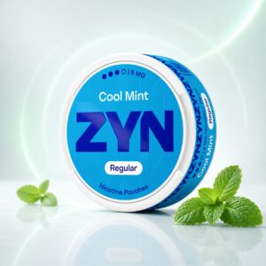 ZYN Cool Mint 9mg product tin