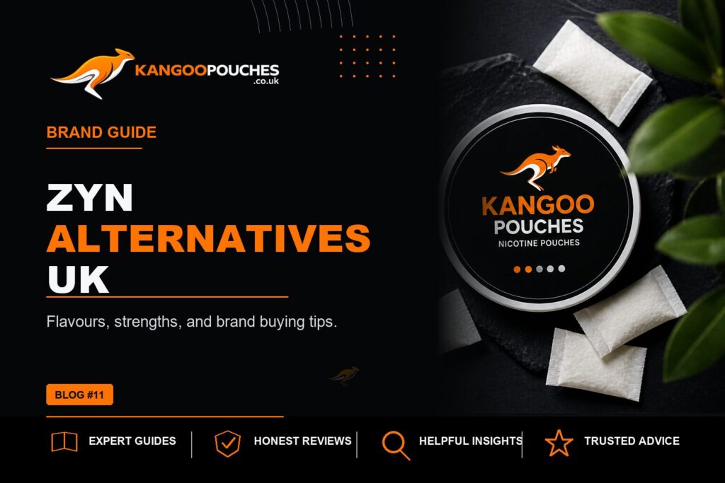 Kangoo Pouches blog banner for Zyn Alternatives UK