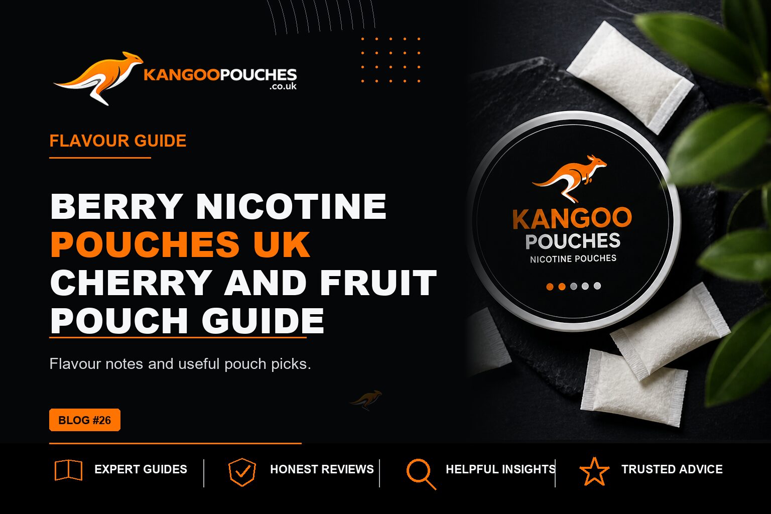 Kangoo Pouches blog banner for Berry Nicotine Pouches UK | Cherry and Fruit Pouch Guide