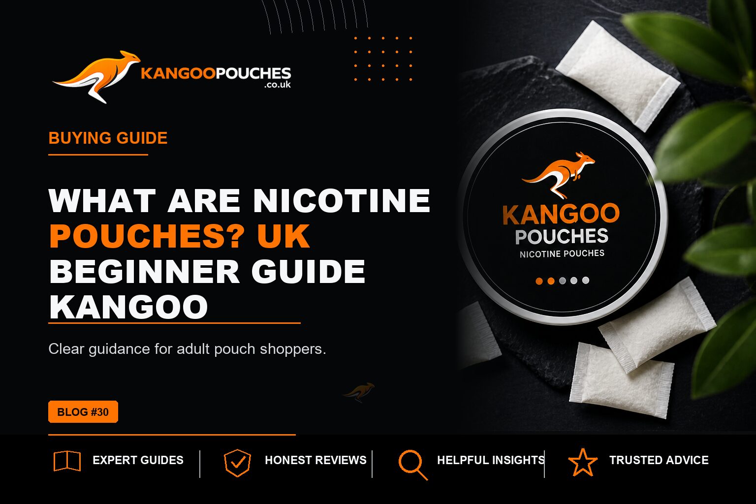 Kangoo Pouches blog banner for What Are Nicotine Pouches? UK Beginner Guide