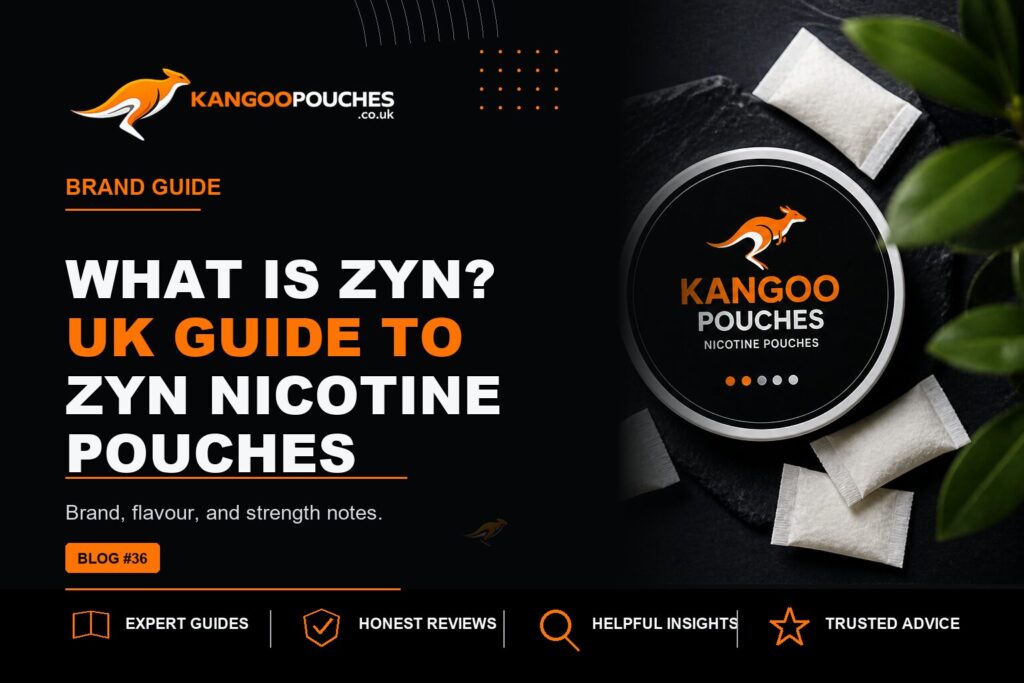 Kangoo Pouches blog banner for What Is ZYN? UK Guide to ZYN Nicotine Pouches