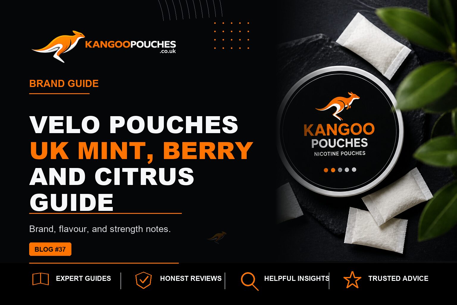 Kangoo Pouches blog banner for VELO Pouches UK | Mint, Berry and Citrus Guide
