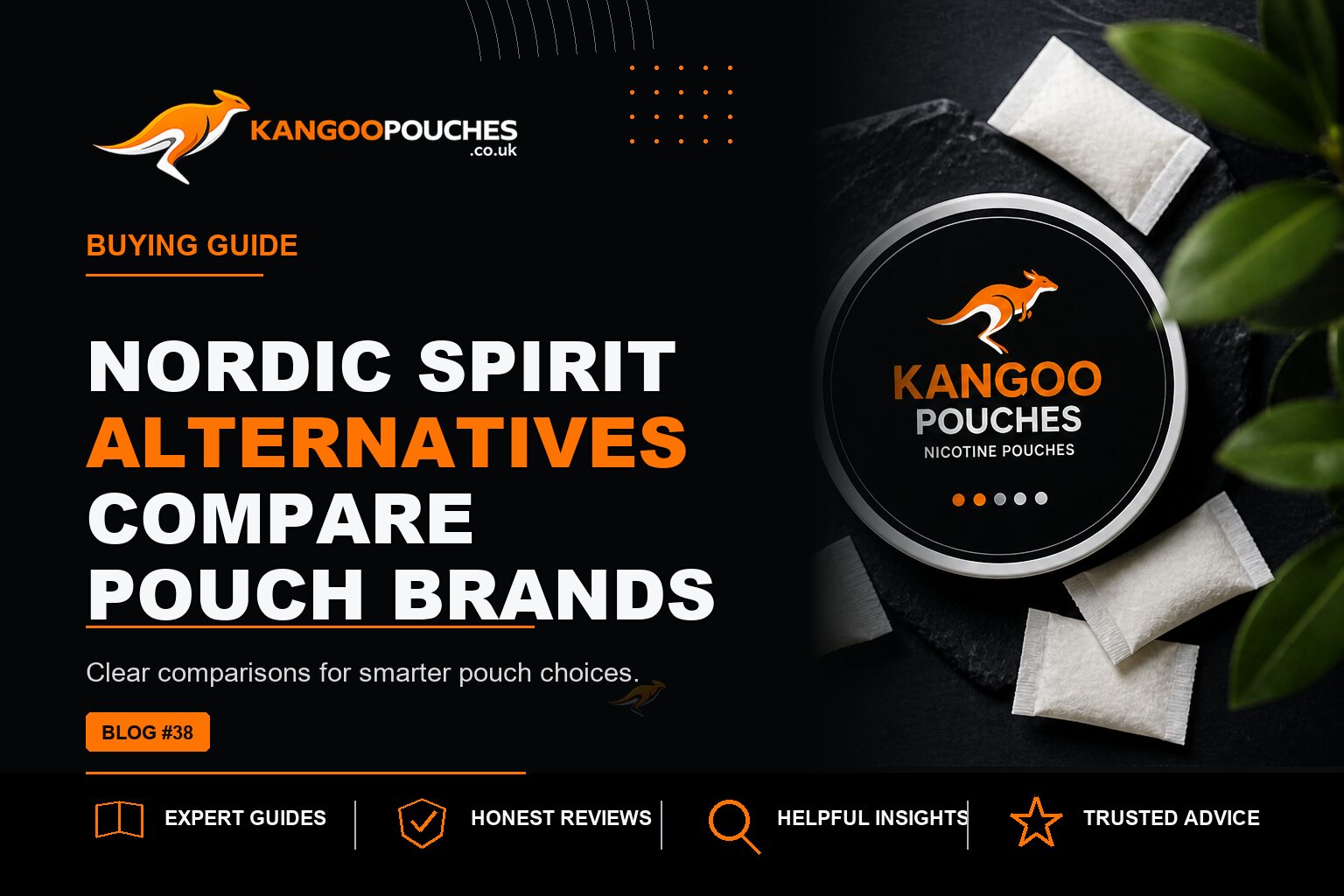 Kangoo Pouches blog banner for Nordic Spirit Alternatives | Compare Pouch Brands