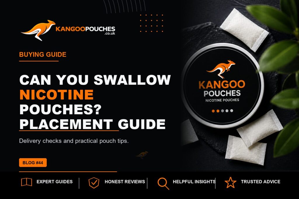 Kangoo Pouches blog banner for Can You Swallow Nicotine Pouches? Placement Guide