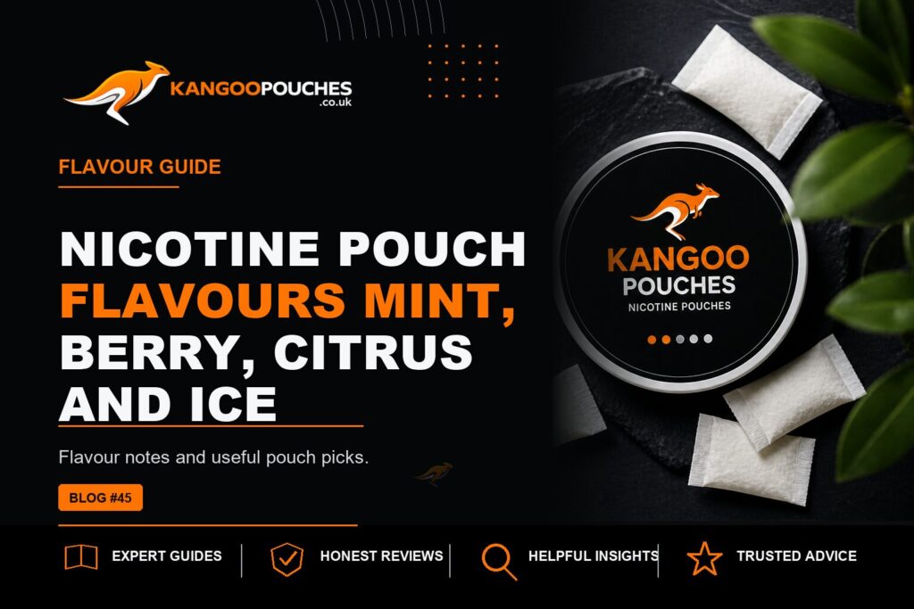 Kangoo Pouches blog banner for Nicotine Pouch Flavours | Mint, Berry, Citrus and Ice