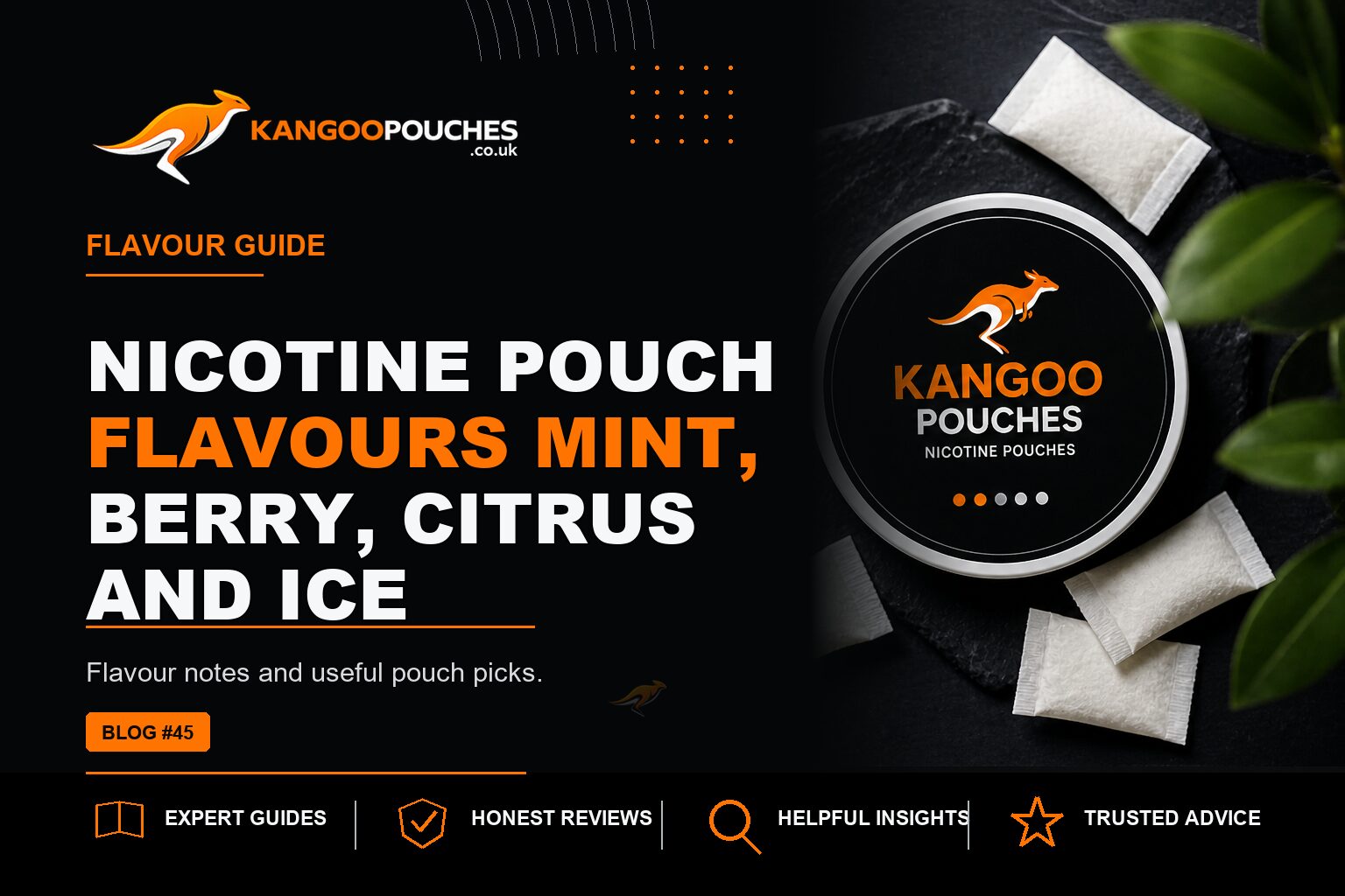 Kangoo Pouches blog banner for Nicotine Pouch Flavours | Mint, Berry, Citrus and Ice