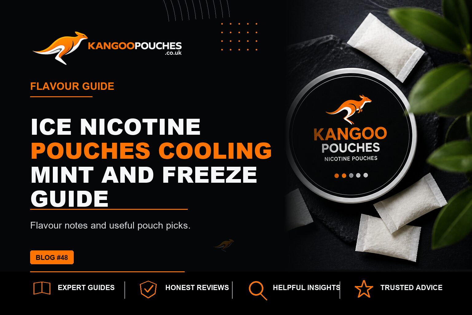 Kangoo Pouches blog banner for Ice Nicotine Pouches | Cooling Mint and Freeze Guide