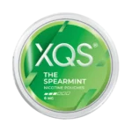 XQS nicotine pouches