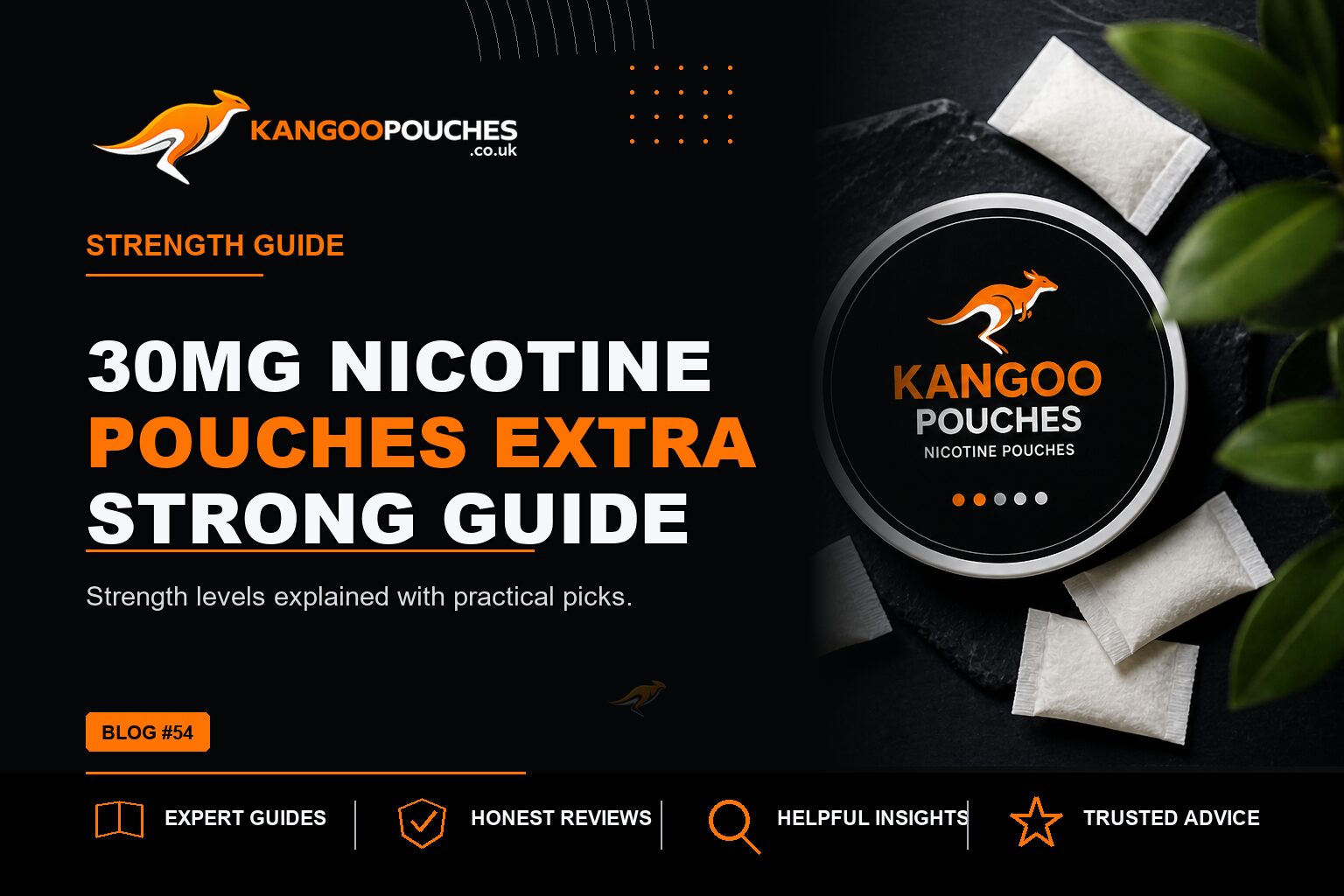 Kangoo Pouches blog banner for 30mg Nicotine Pouches | Extra Strong Guide