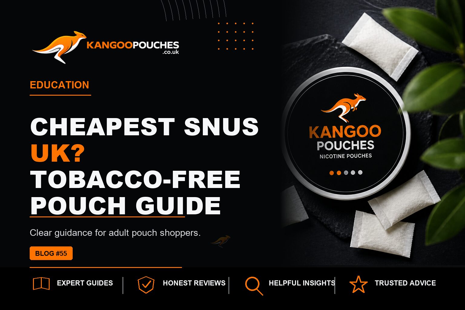 Kangoo Pouches blog banner for Cheapest Snus UK? Tobacco-Free Pouch Guide