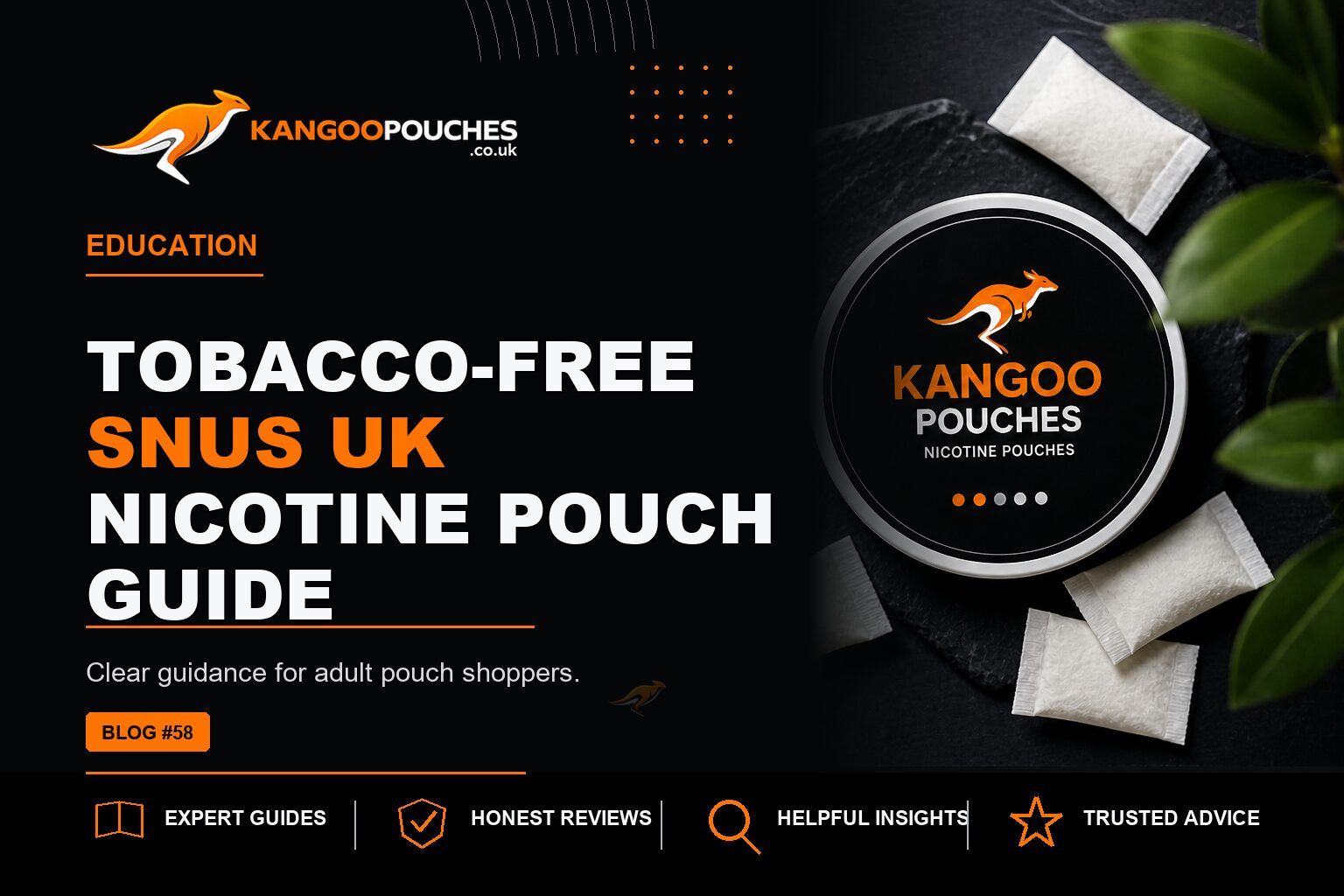 Kangoo Pouches blog banner for Tobacco-Free Snus UK | Nicotine Pouch Guide