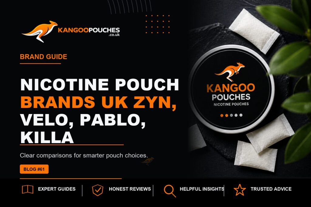 Kangoo Pouches blog banner for Nicotine Pouch Brands UK | ZYN, VELO, PABLO, KILLA