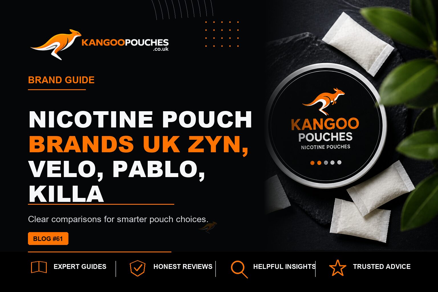 Kangoo Pouches blog banner for Nicotine Pouch Brands UK | ZYN, VELO, PABLO, KILLA