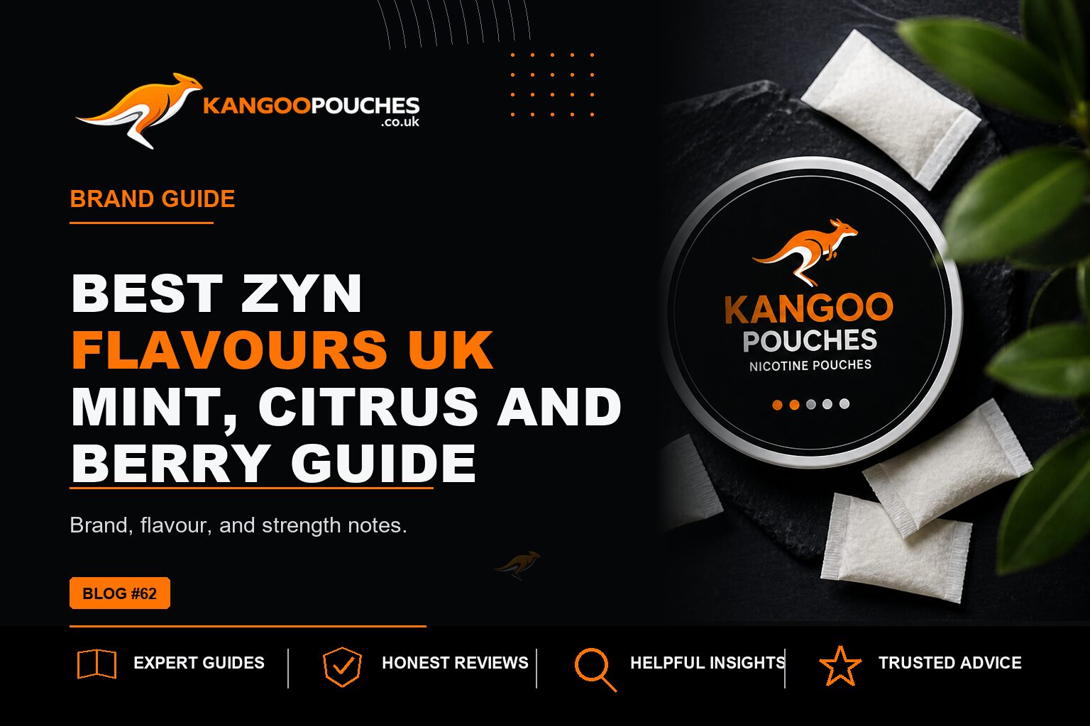 Kangoo Pouches blog banner for Best ZYN Flavours UK | Mint, Citrus and Berry Guide