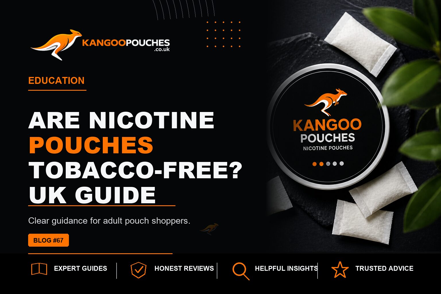 Kangoo Pouches blog banner for Are Nicotine Pouches Tobacco-Free? UK Guide