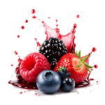 Berry nicotine pouches