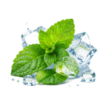 Mint nicotine pouches