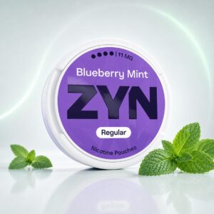 ZYN Blueberry Mint Nicotine Pouches 11mg