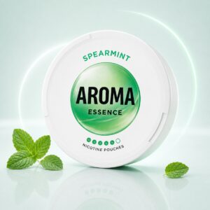 AROMA Spearmint 13mg Nicotine Pouches — 13mg nicotine per pouch, slim format, 20 pouches