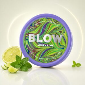 BLOW Minty Lime 12mg Nicotine Pouches — 12mg nicotine per pouch, slim format, 20 pouches