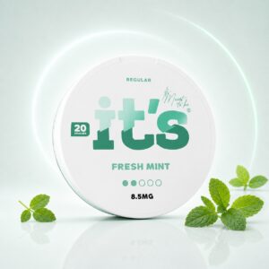 it's Fresh Mint 8.5mg Nicotine Pouches — 8.5mg nicotine per pouch, slim format, 20 pouches