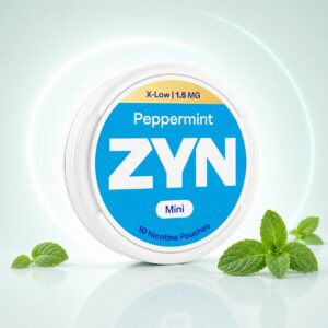 ZYN Cool Mint 1.5mg Nicotine Pouches — 1.5mg nicotine per pouch, mini format, 10 pouches