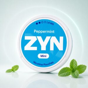 ZYN Cool Mint 6mg Nicotine Pouches — 6mg nicotine per pouch, mini format, 20 pouches