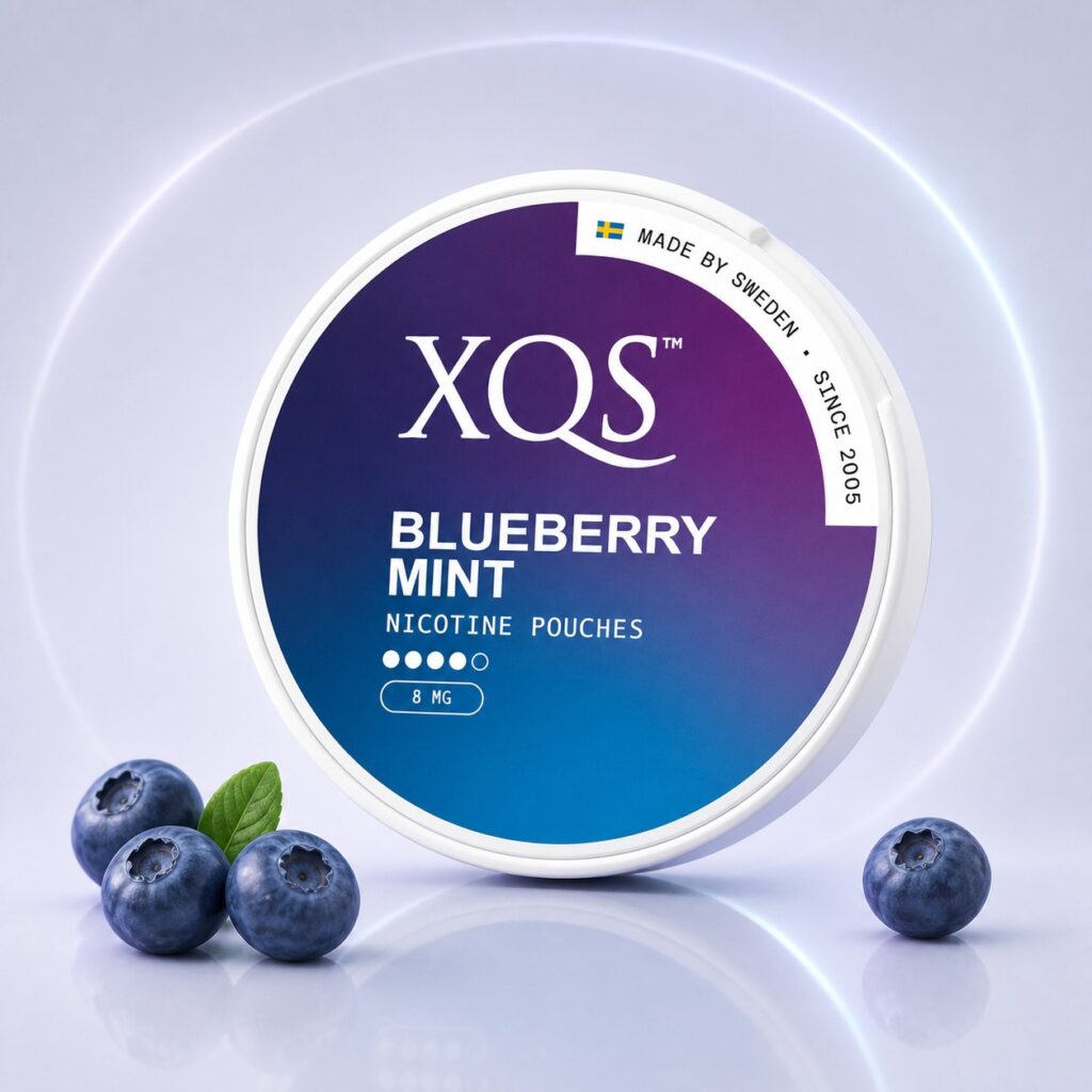 XQS Blueberry Mint 8mg Nicotine Pouches — 8mg nicotine per pouch, slim format, 20 pouches