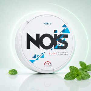 Nois Mint 10mg Nicotine Pouches — 10mg nicotine per pouch, slim format, 22 pouches