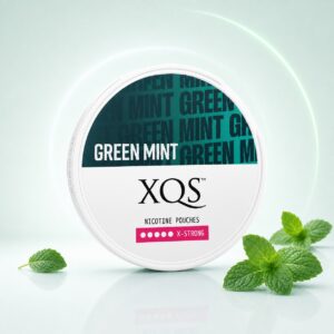 XQS Green Mint 9.5mg Nicotine Pouches — 9.5mg nicotine per pouch, slim format, 20 pouches