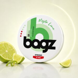 BAGZ Mojito Lime 11mg Nicotine Pouches — 11mg nicotine per pouch, slim format, 22 pouches