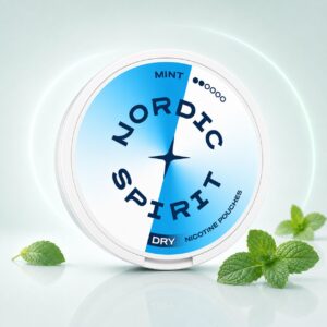 Nordic Spirit Mint Dry Regular 6mg — 6mg nicotine per pouch, regular format, 20 pouches