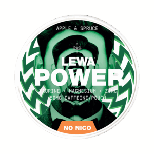LEWA