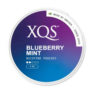 XQS Blueberry Mint 4mg Nicotine Pouches — 4mg nicotine per pouch, slim format, 20 pouches