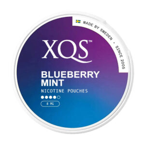 XQS Blueberry Mint 8mg Nicotine Pouches — 8mg nicotine per pouch, slim format, 20 pouches