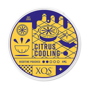XQS Citrus 4mg Nicotine Pouches — 4mg nicotine per pouch, slim format, 20 pouches