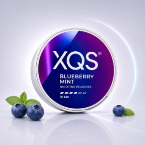 XQS Blueberry Mint 10mg Nicotine Pouches — 10mg nicotine per pouch, slim format, 20 pouches