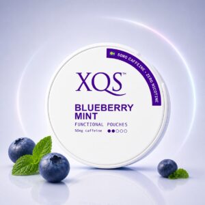 XQS Blueberry Mint 50mg Nicotine Pouches — 50mg nicotine per pouch, slim format, 20 pouches