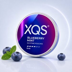 XQS Blueberry Mint 8mg — 8mg nicotine per pouch, slim format, 20 pouches