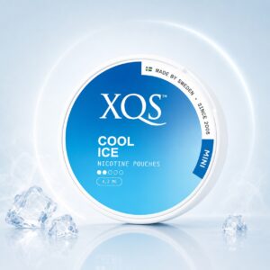 XQS Cool Ice 4.2mg Nicotine Pouches — 4.2mg nicotine per pouch, mini format, 20 pouches